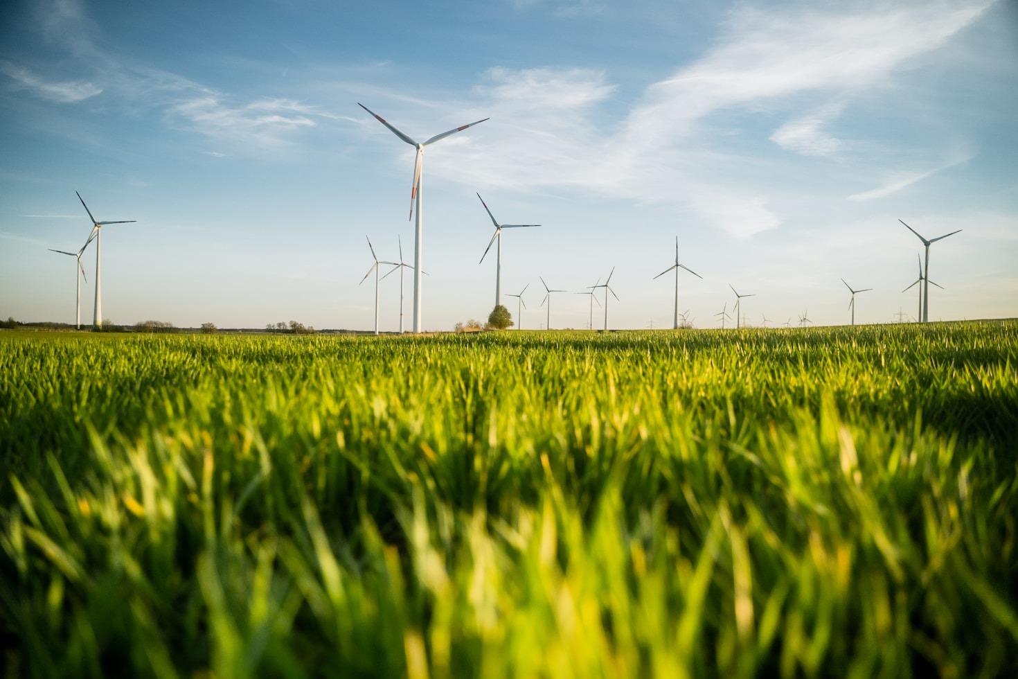 Five Ways Regenerative Agriculture Heals Landscapes