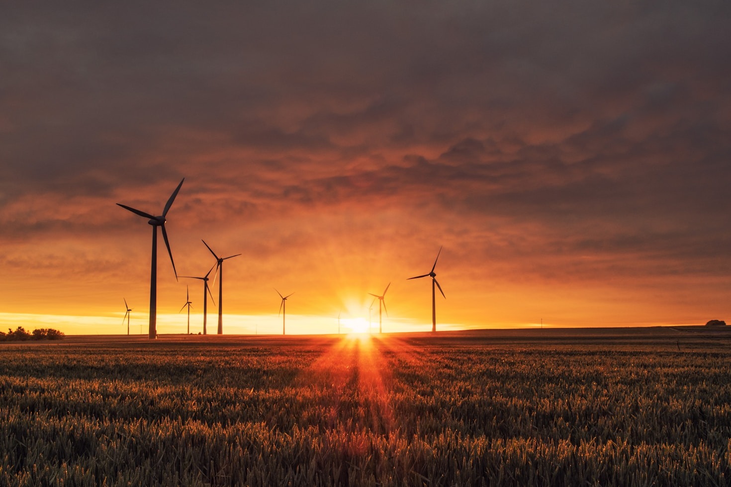 How Climate Stewardship Drives Business Innovation Today