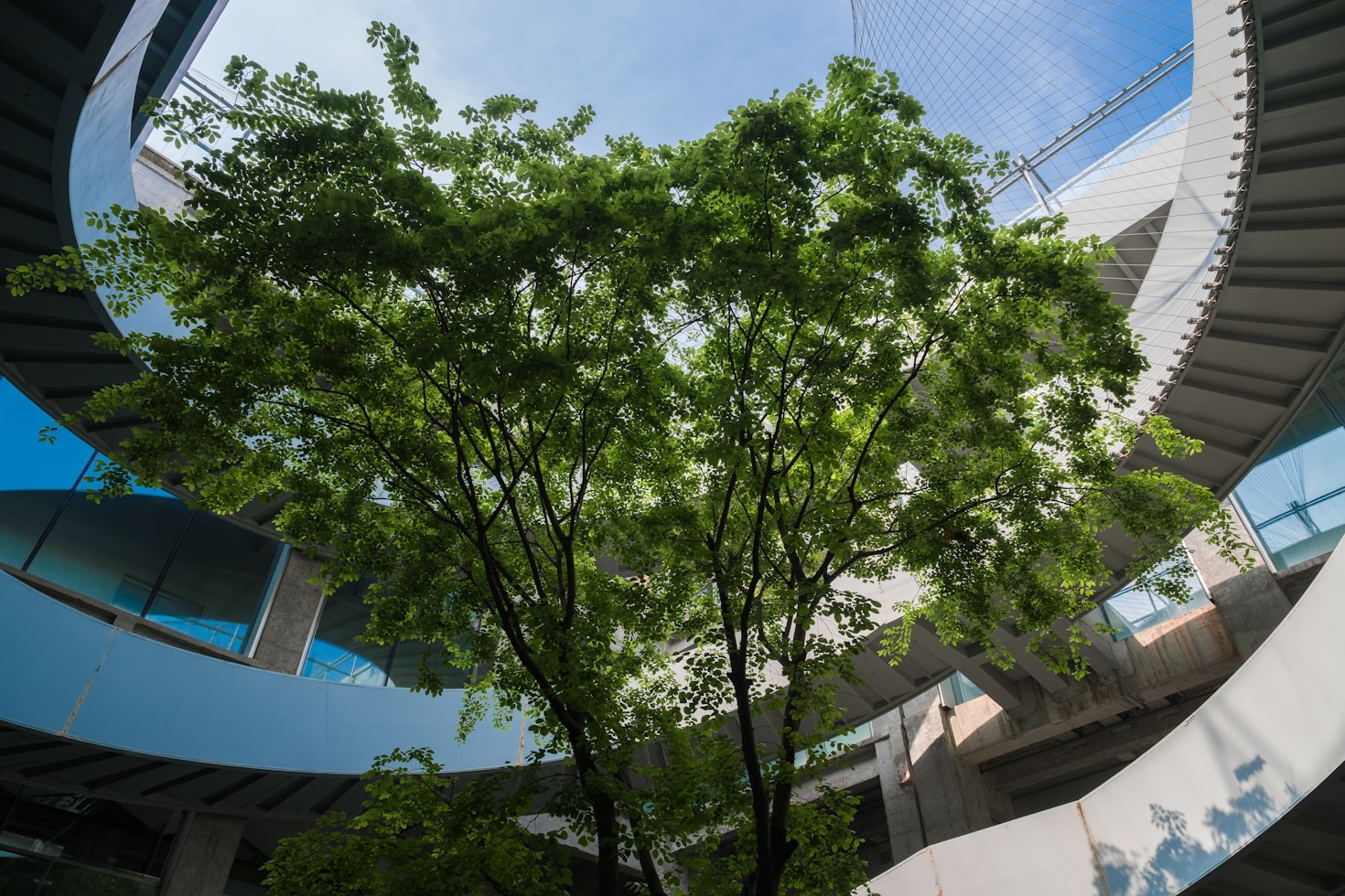 Beyond Awareness Turning Environmental Data Into Action