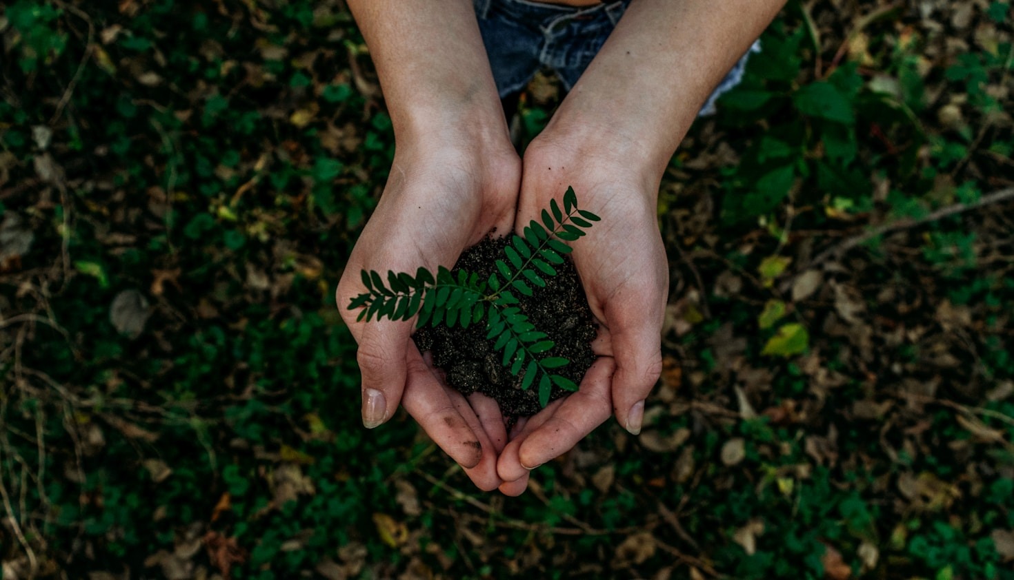 Why Local Food Systems Matter For Sustainability